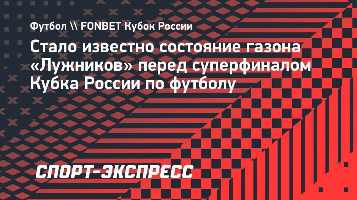Газон в «Лужниках» готов к суперфиналу Кубка России: официальное заявление