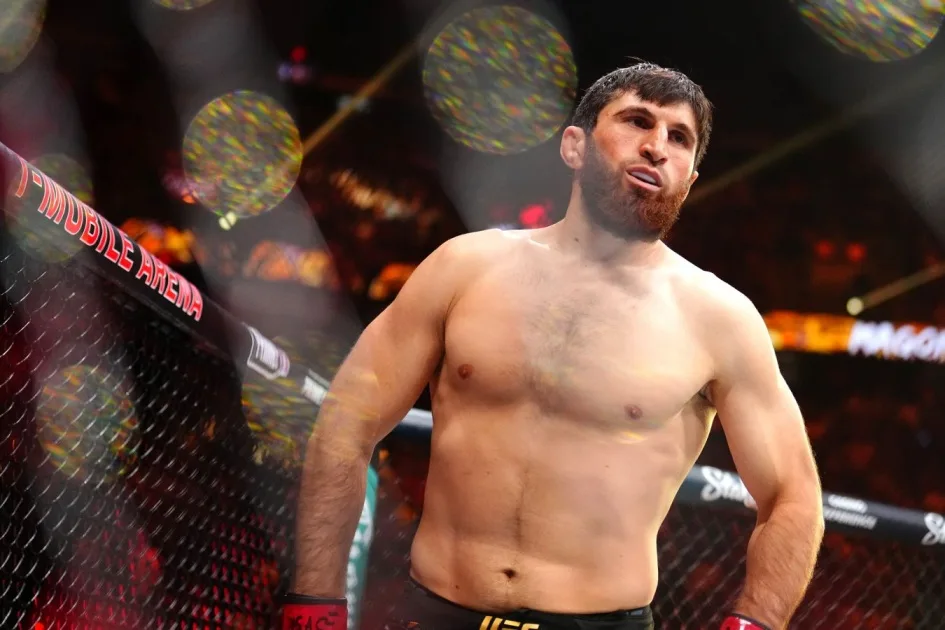 UFC Fight Night 282 в Абу-Даби: где смотреть прямую трансляцию турнира