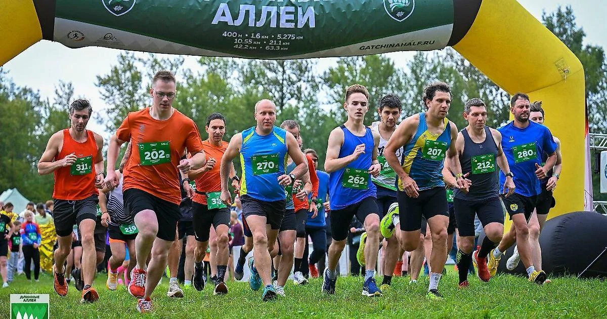 Сафонов и Сергеева победили в ультрамарафоне «Длинные аллеи» в Гатчине