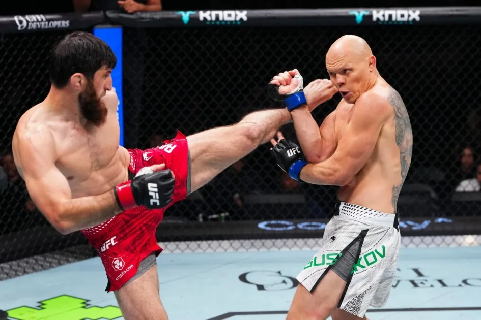 Анкалаев и Павлович: россияне делят лидерство по нокаутам в UFC