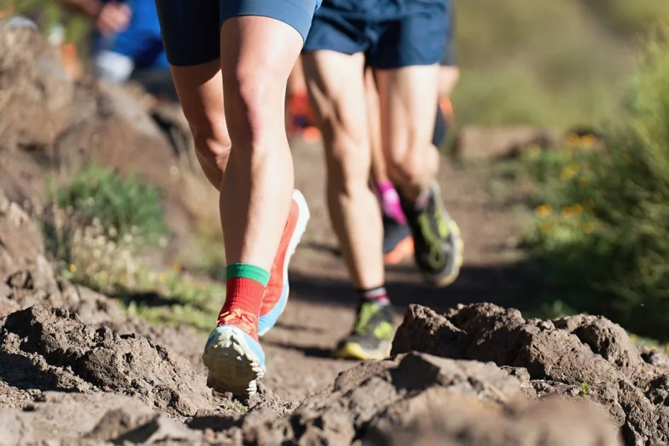 Ультрамарафон Riekkalansaari Ultra Trail: Карелия примет забег 21 и 22 августа