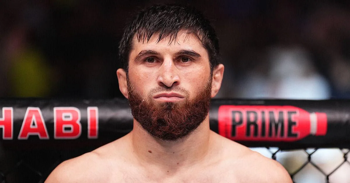 Анкалаев предложил Косте бой: «Победишь меня и уйдешь из UFC миллионером»