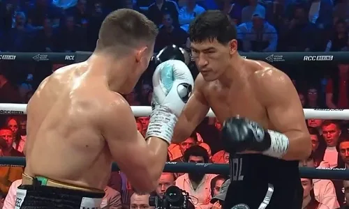 Бивол защитил три титула WBA: соперник отправлен в нокдаун