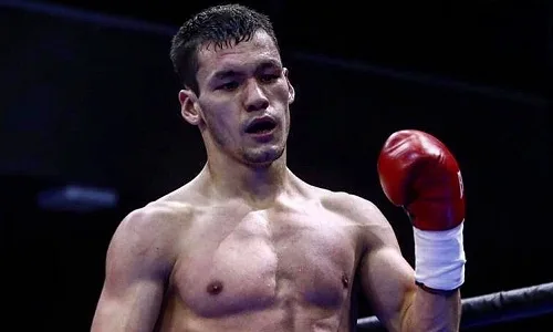 Бокс: Мухаммад Шехов стал обязательным претендентом на титул WBA